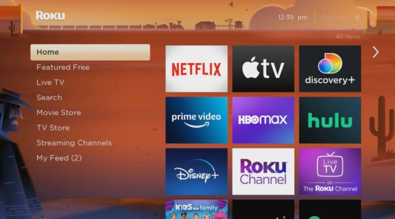 Customizing Your Roku Experience: Tips For App Users